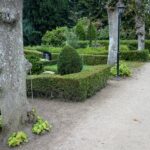 IMG_0641